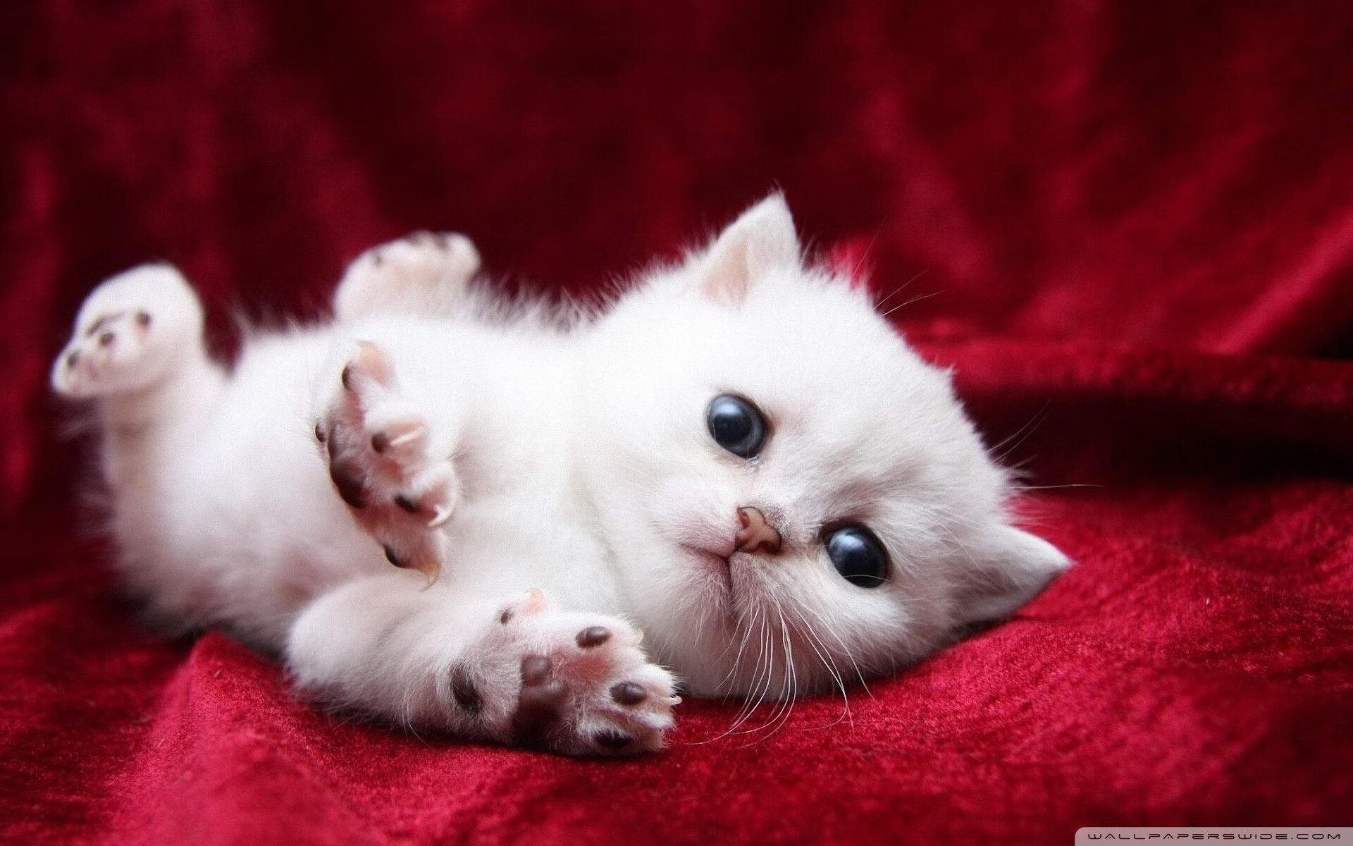 看到NBA总决赛之夜和阿圭罗这两个关键词,我的第一反应是,这真是一个奇妙的组合。足球巨星如何发挥完美?这本身就是一个极具戏剧张力和想象空间的开端