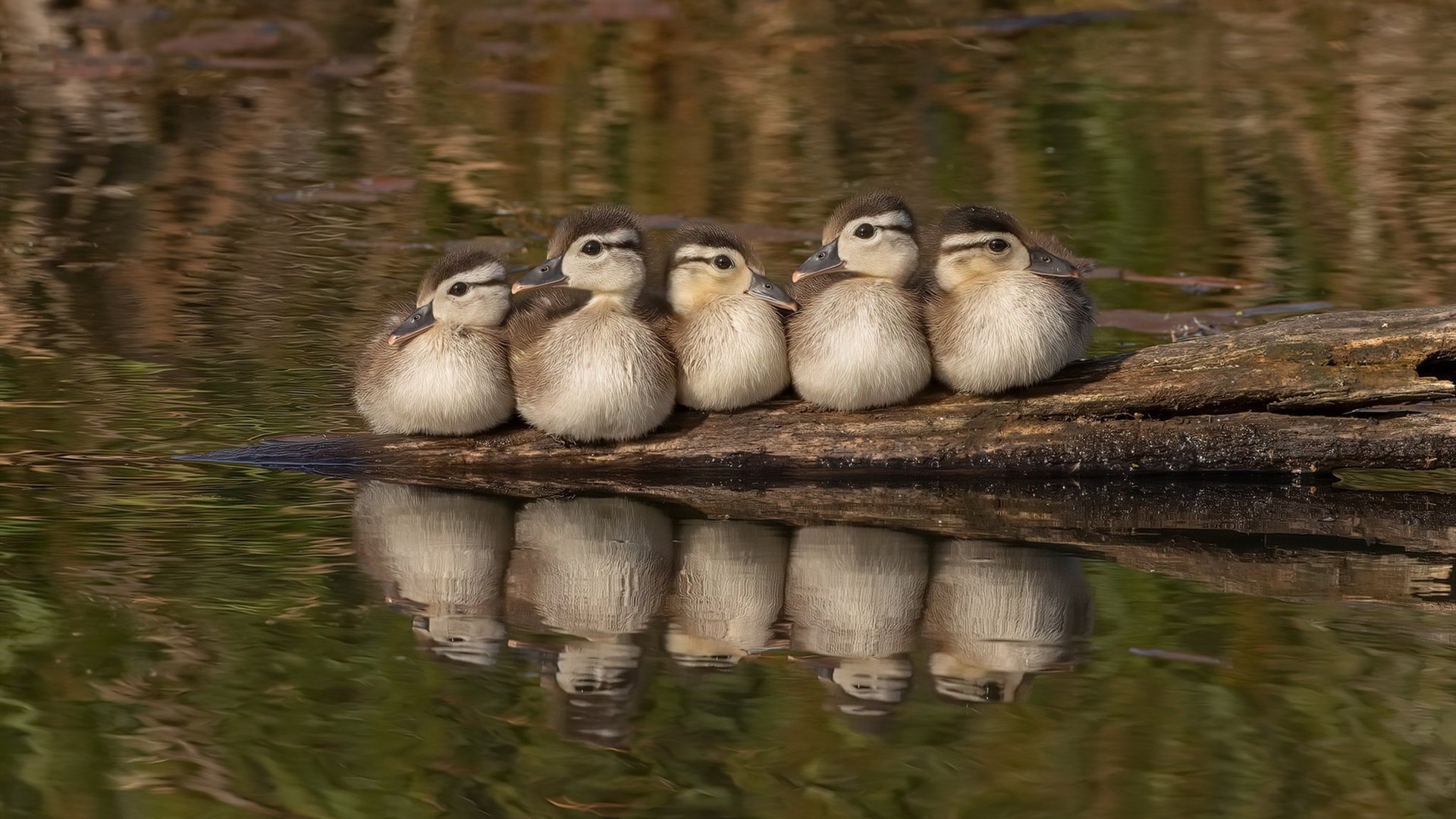 铁骑破日,马刺窒息式防守绞杀太阳,西部之巅再起风云