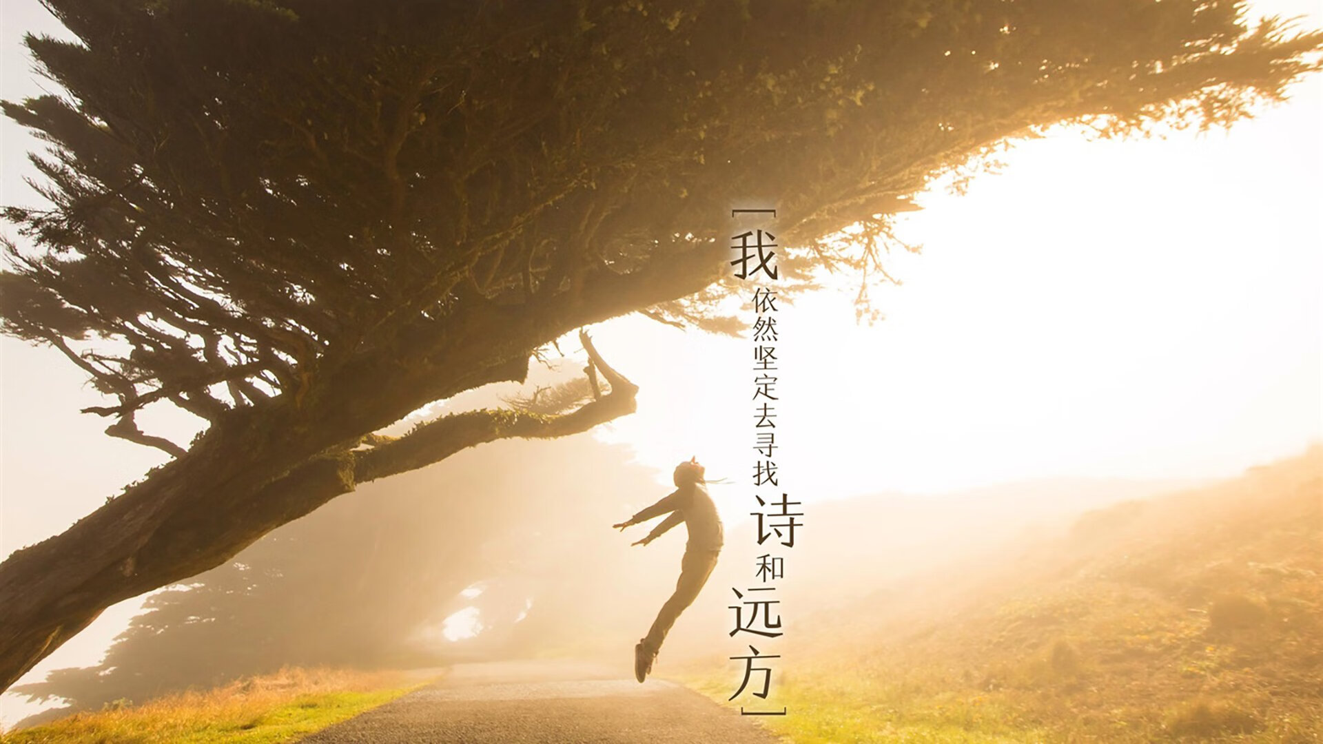 老兵不死！浓眉哈达迪砍30+20，四川猛龙爆冷掀翻卫冕冠军辽宁