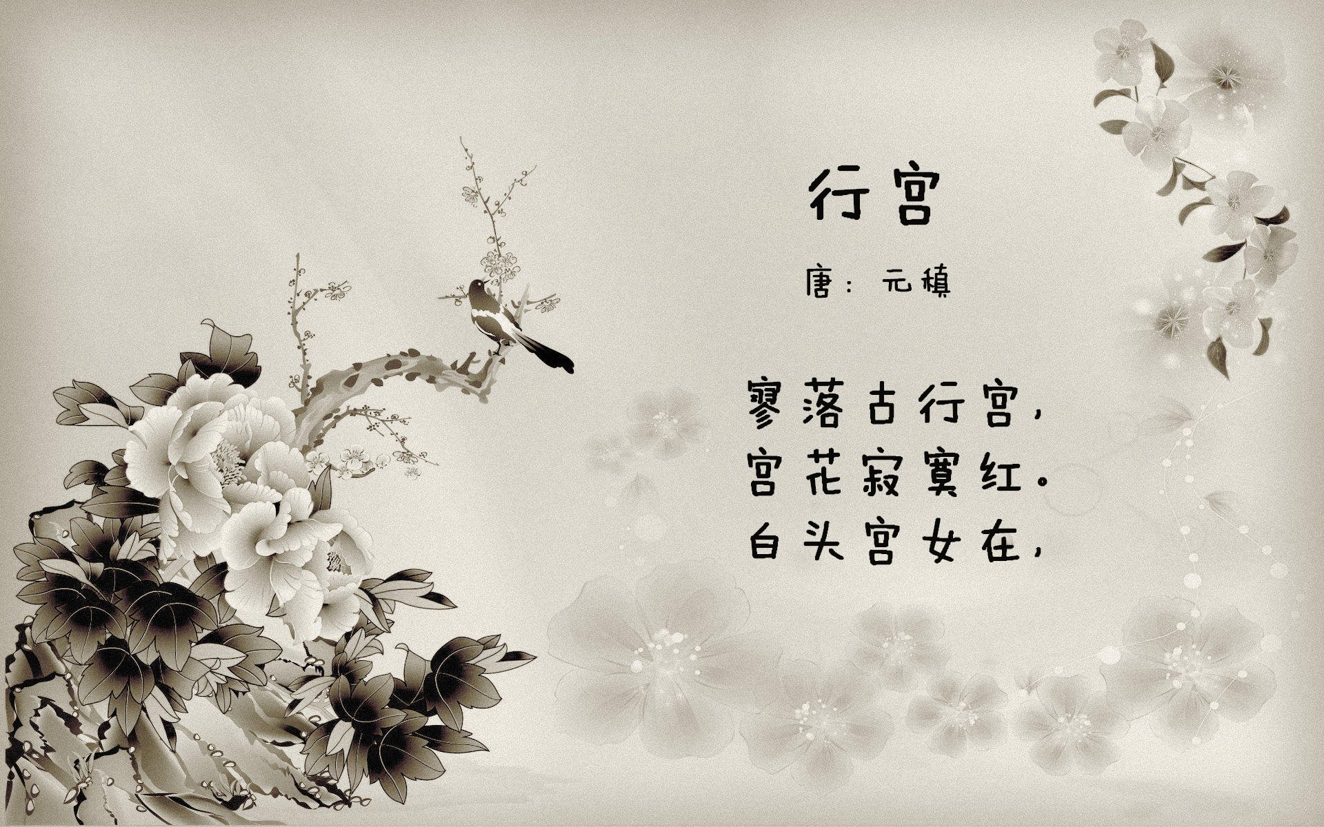 隐形指挥官,当哈利伯顿在麦迪逊花园按下静音键