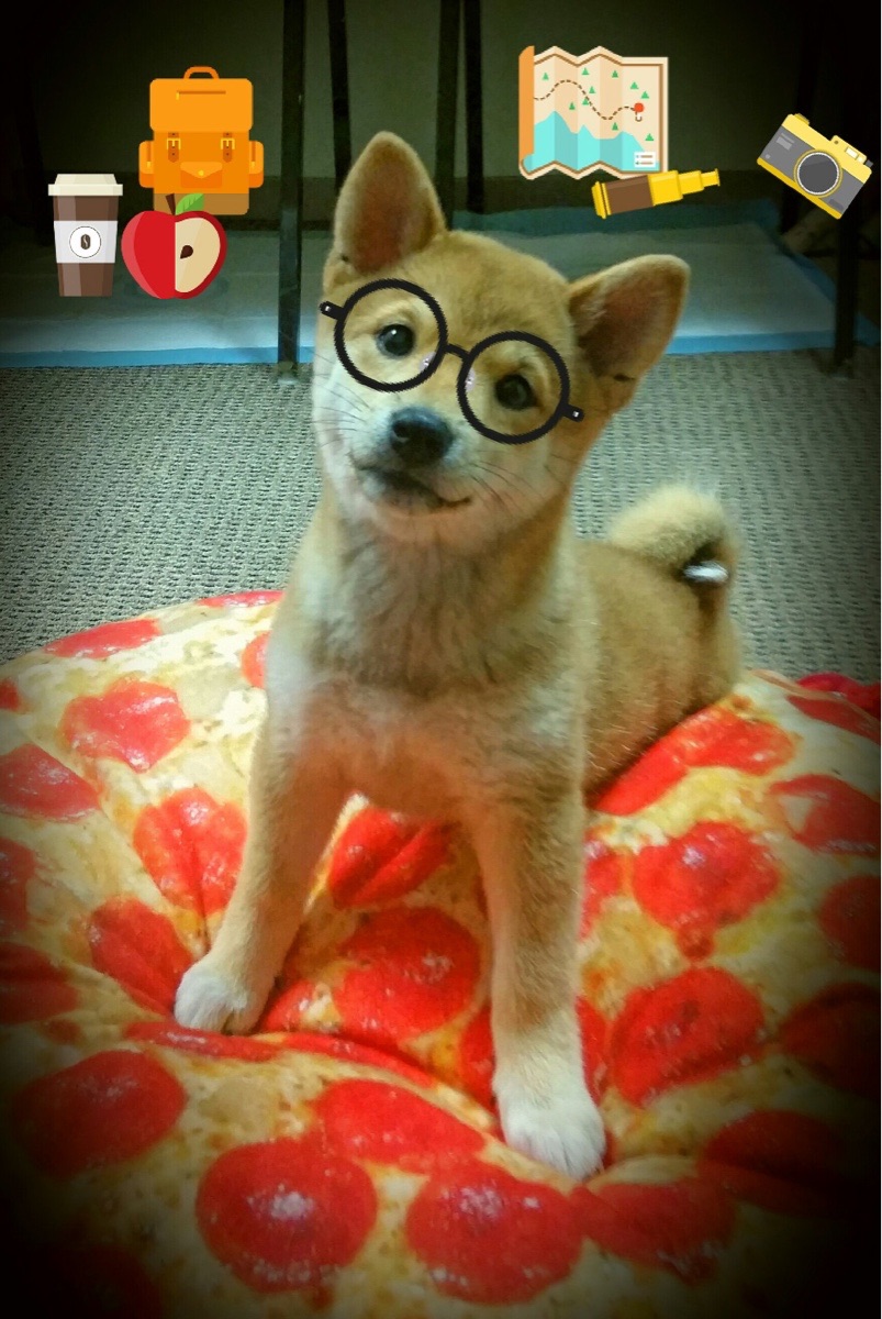 几内亚之盾如何拆解安哥拉战车？巴尔韦德导演逆袭剧本