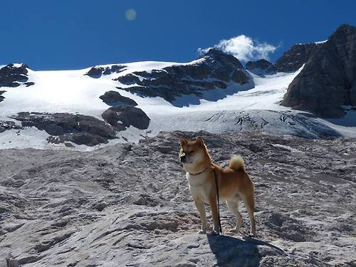 封神之夜!金玟哉制空霸权扼杀马竞,安哥拉奇迹昂首过关