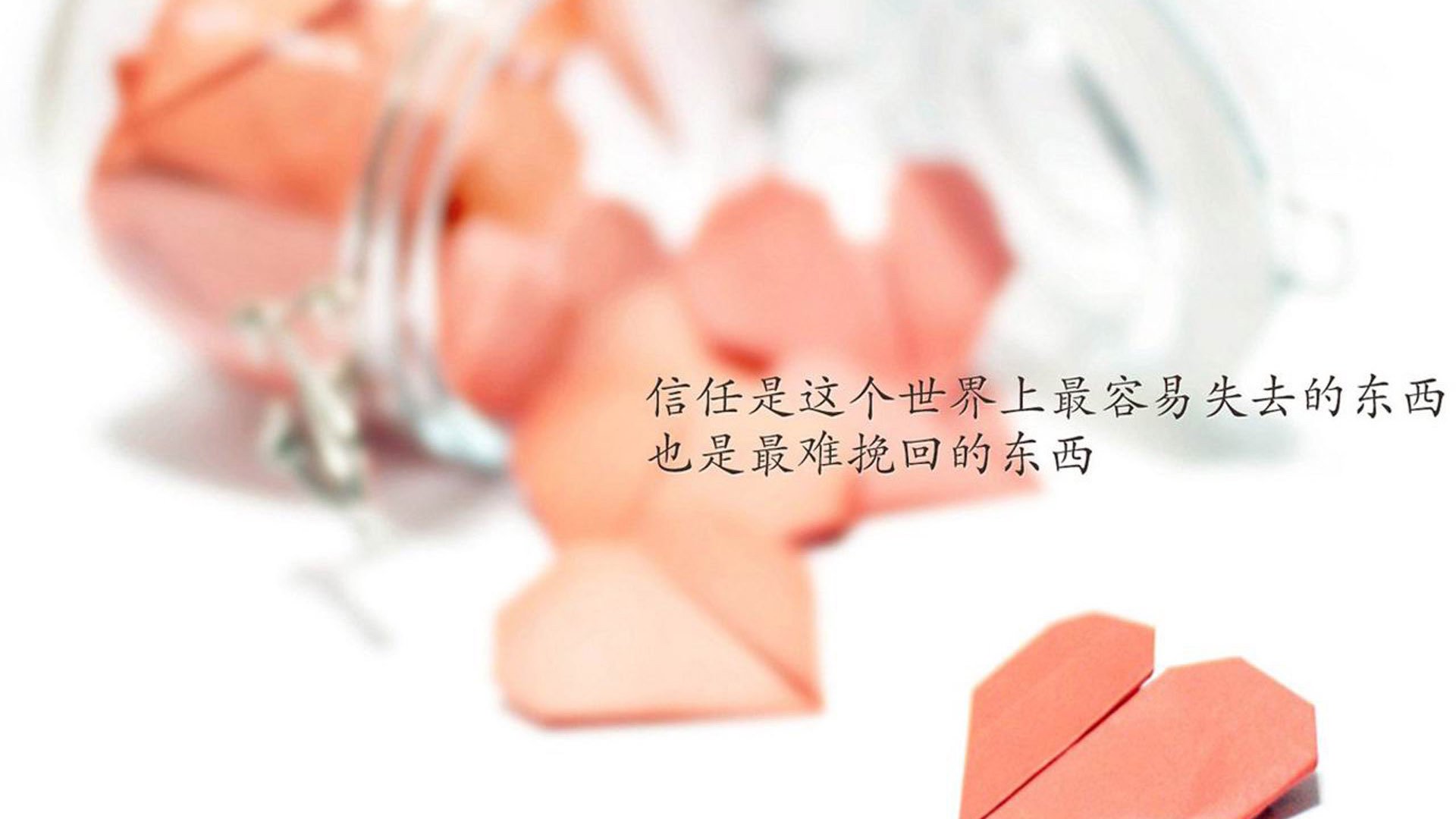 西甲国家德比焦点战，罗马军团血拼委内瑞拉雄鹰