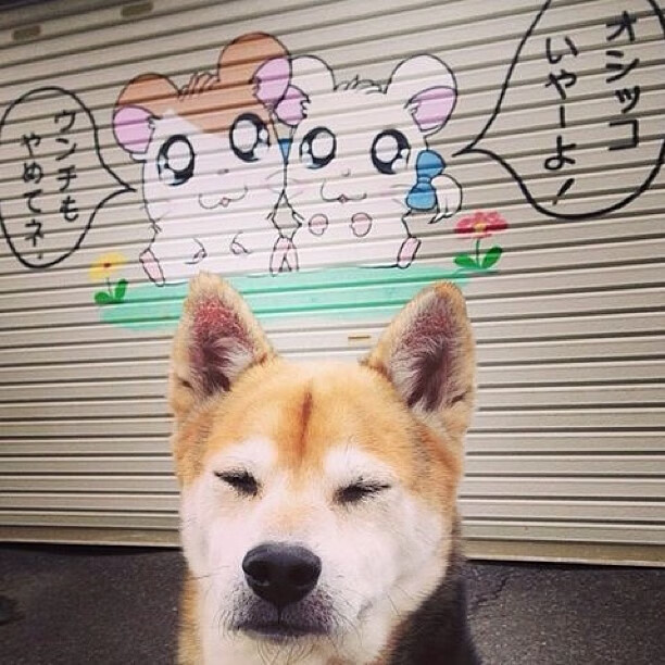 跨界奇观,浙江队鏖战篮网,锡安奇迹接管F1街道赛