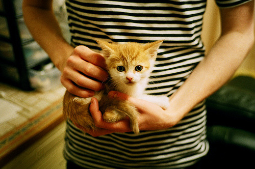 丝绸烽火映京华，当西亚卡姆的生涯巨制于天山脚下上演