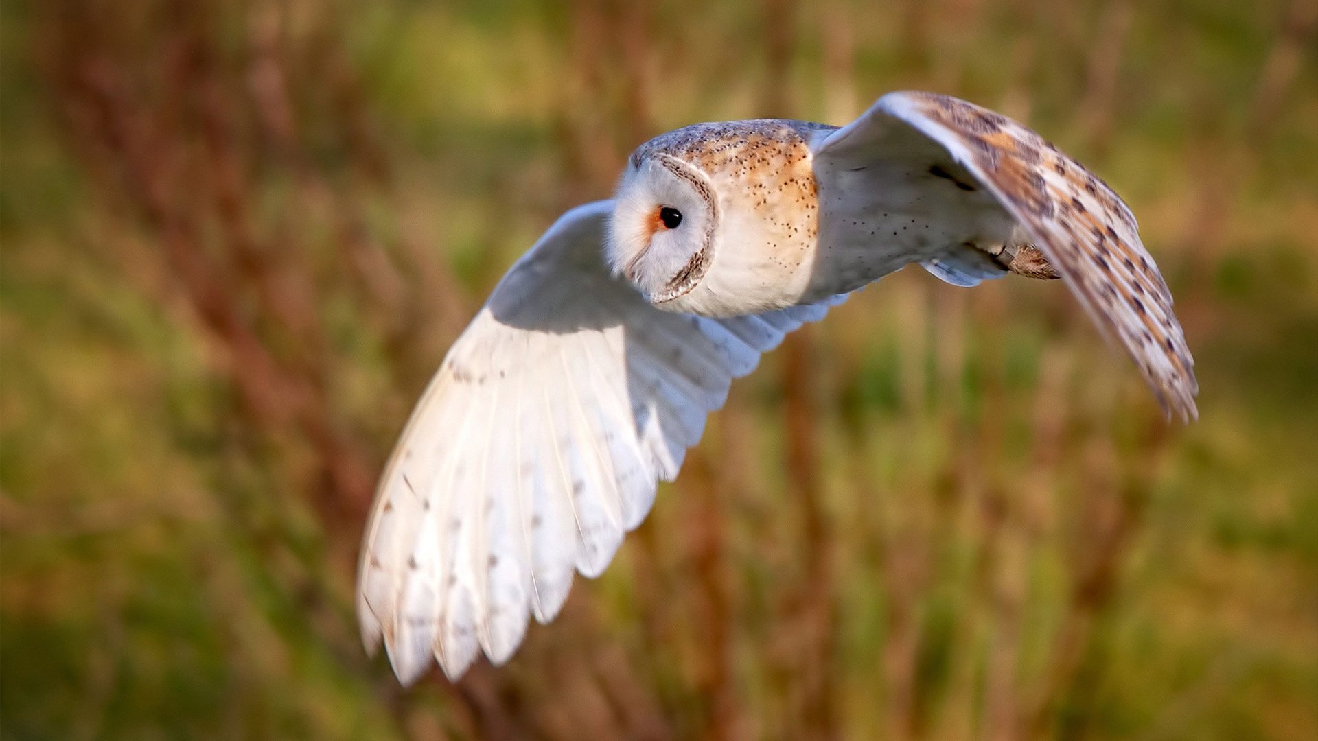 东方试炼，布克冲破心魔，活塞铁骑险胜上海滩