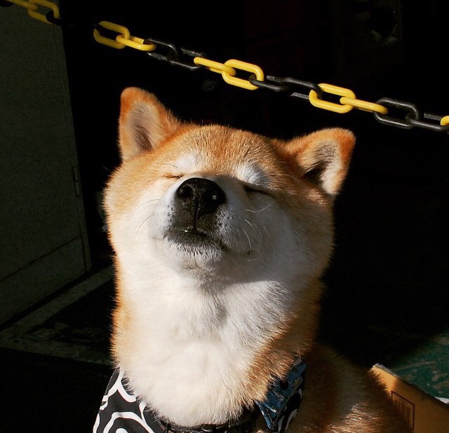 虚拟巅峰对决，加克波独舞，阿根廷惊魂淘汰毕尔巴鄂