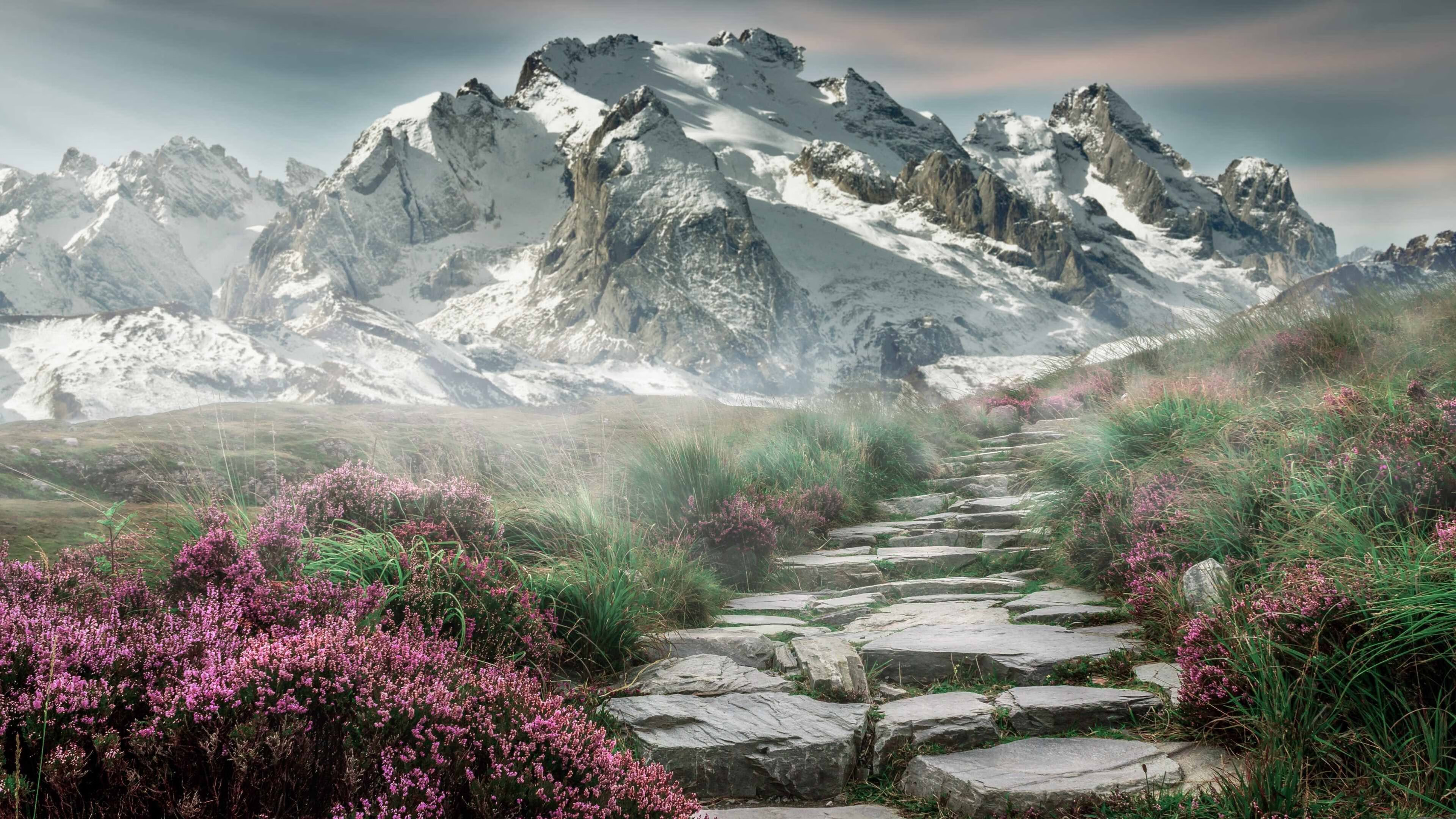 星舰坠落申城，铁王座易主伊斯坦布尔