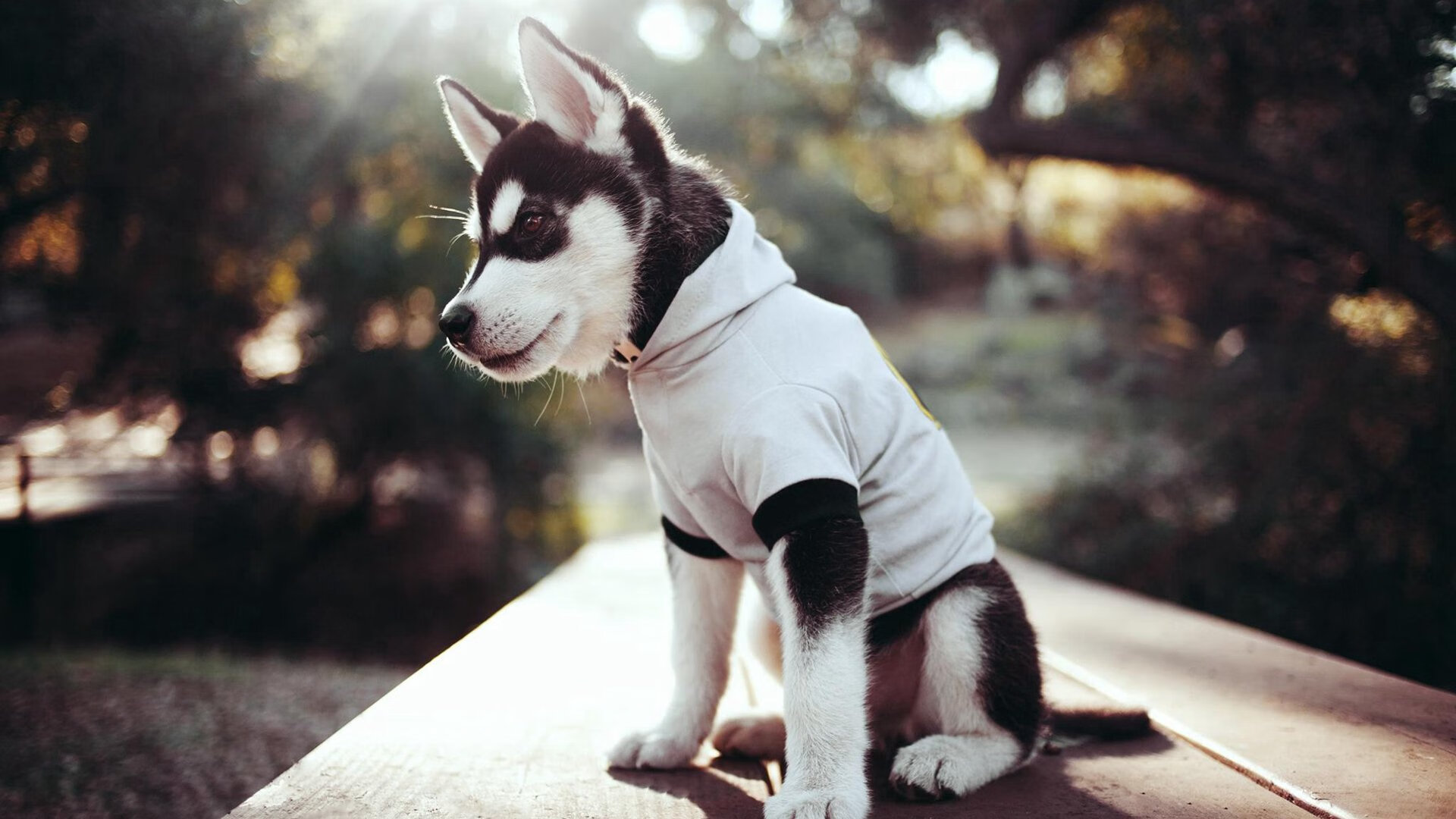 刺客与钟表匠，利拉德如何在马刺体系中完成对凯尔特人的外科手术式收割