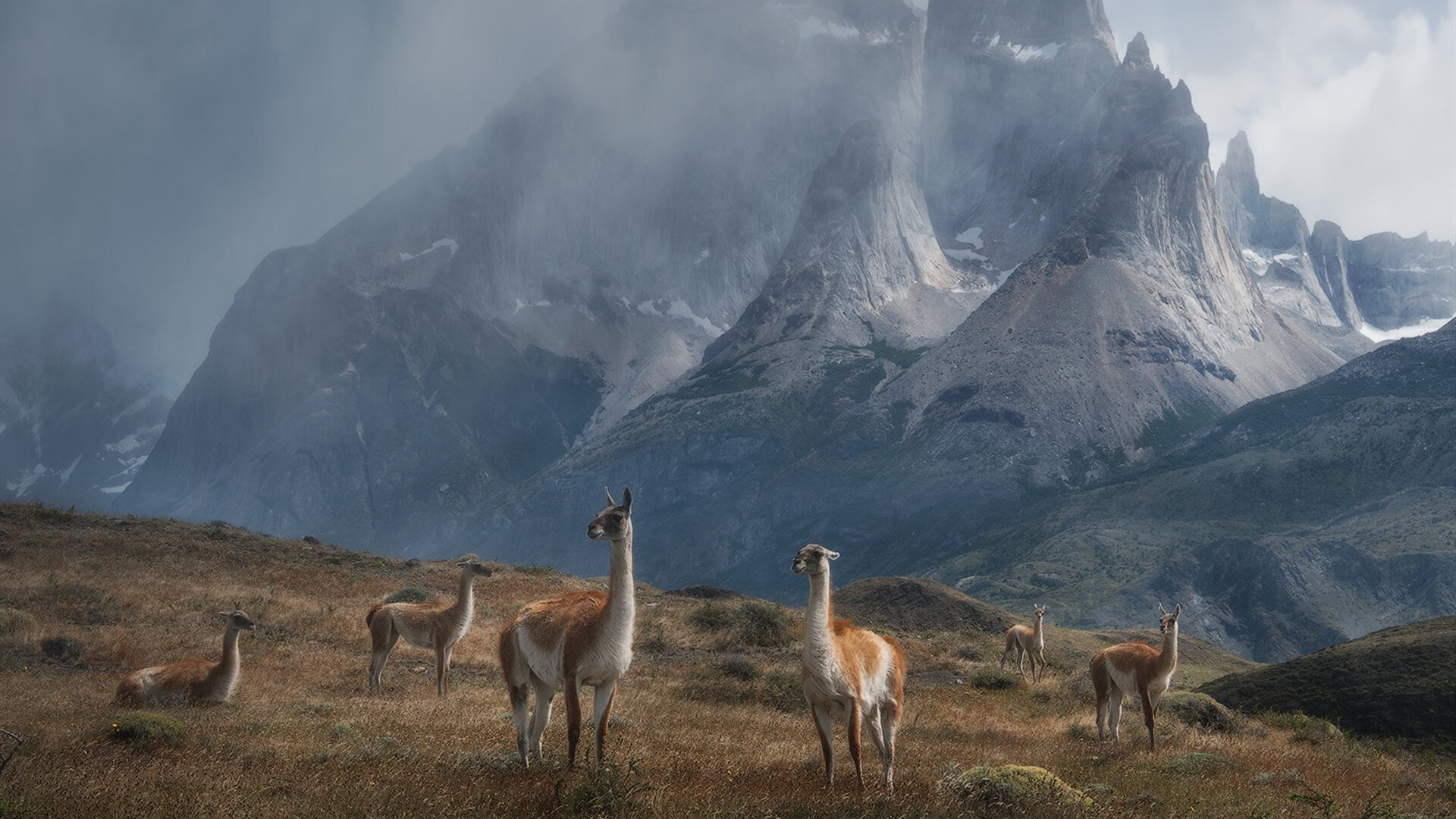 破晓者，当哈利伯顿的魔法撕裂东方壁垒