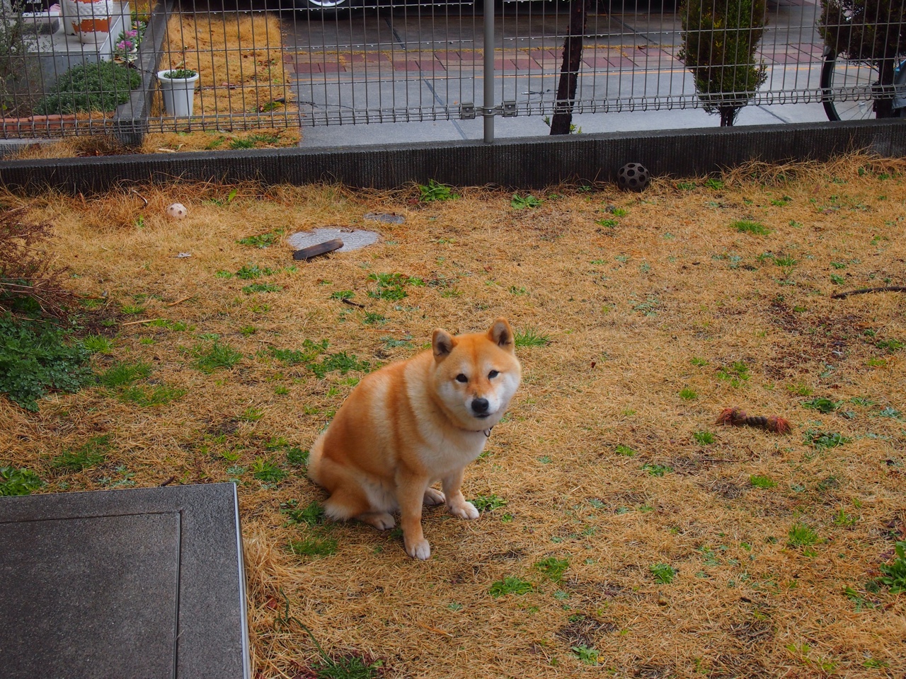 跨越太平洋的救赎，范弗利特在乌鲁木齐的奇幻之夜