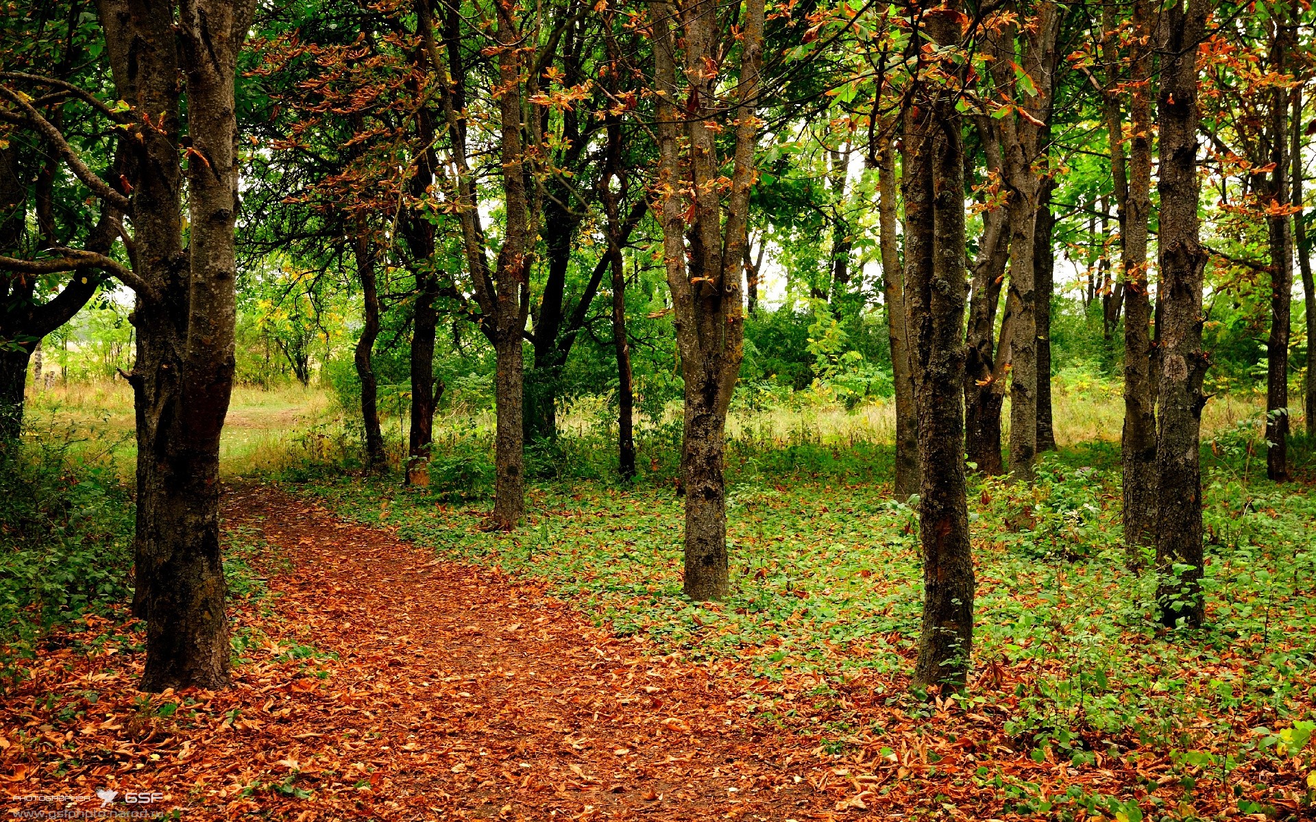 老鹰如啄木鸟，用耐心啄穿独行侠，克莱的回魂一刻如何终结悬念？
