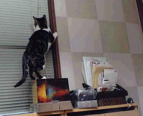 意外扳机，拉梅洛58分天神下凡，篮网一枪狙停费城连胜列车