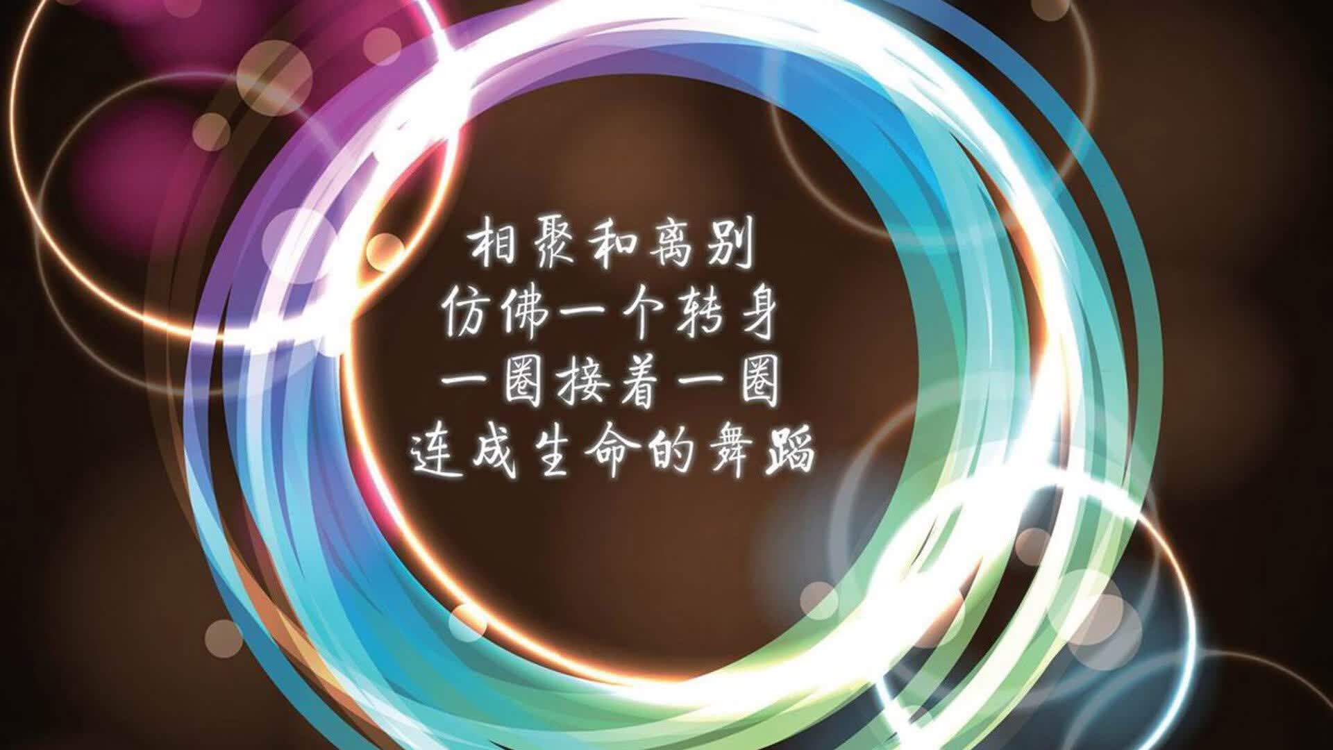 一个人的交响乐,当孙兴慜用太极融化南美之魂,塞尔维亚在A组奏响霸权序曲