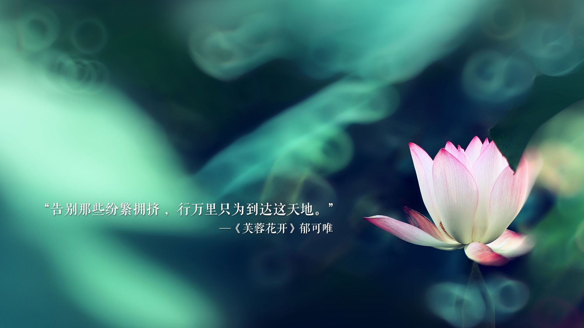 撕裂安第斯山脉的闪电,当加维成为西班牙在D组唯一的光