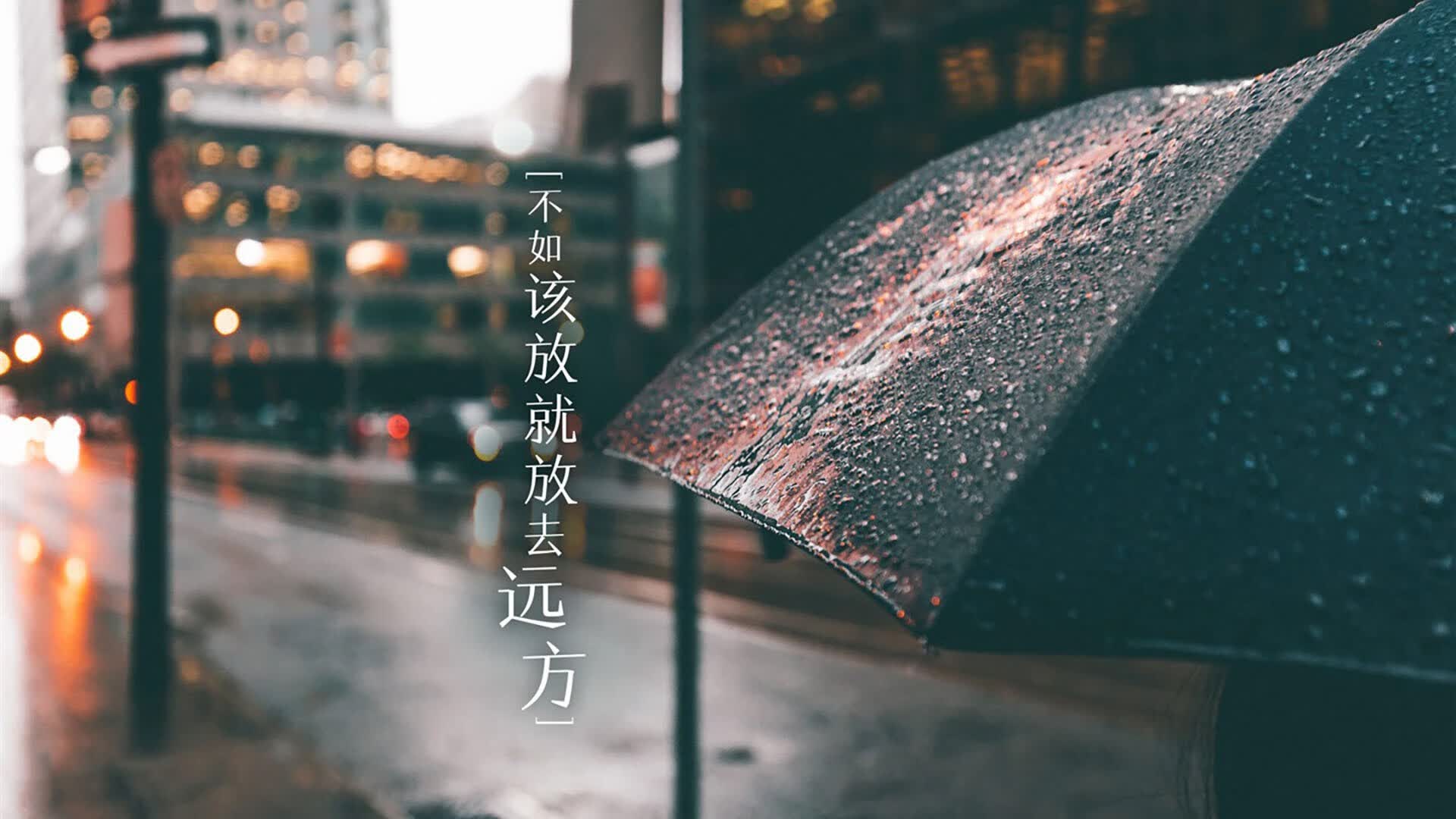 破晓之光,2026世界杯F组,乌兹别克斯坦书写中亚足球新纪元